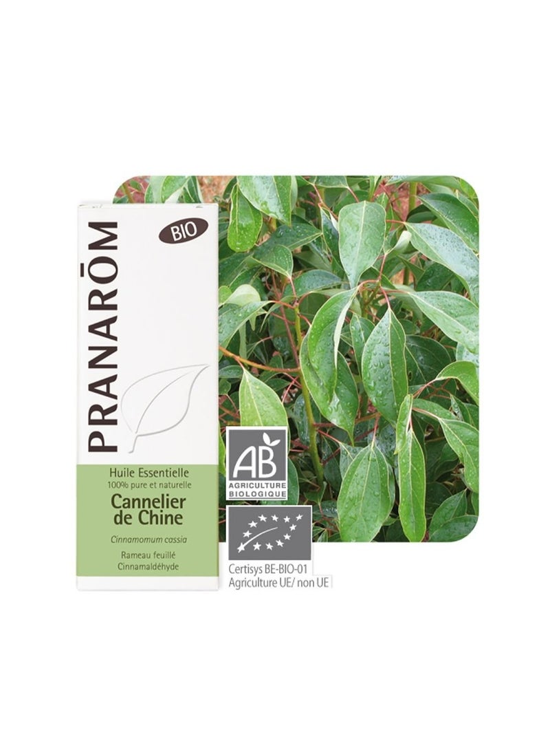 PRANAROM Pranarôm Essential Oil China Cinnamon (Cinnamomum cassia) 10 ml - Image 2